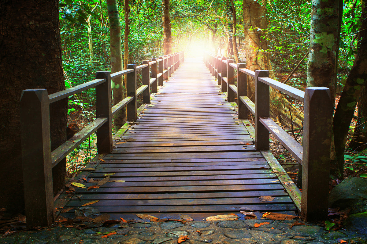 3-piece-canvas-print-the-bridge-in-the-forest
