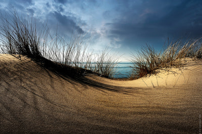 poster-print-dunes