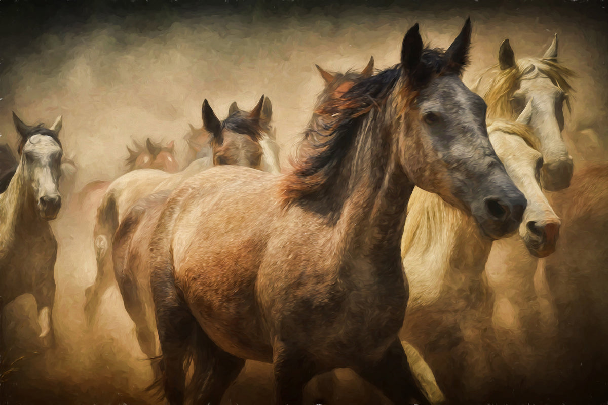 aluminium-print-painting-wild-horses