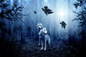3-piece-acrylic-print-wolf39s-couple