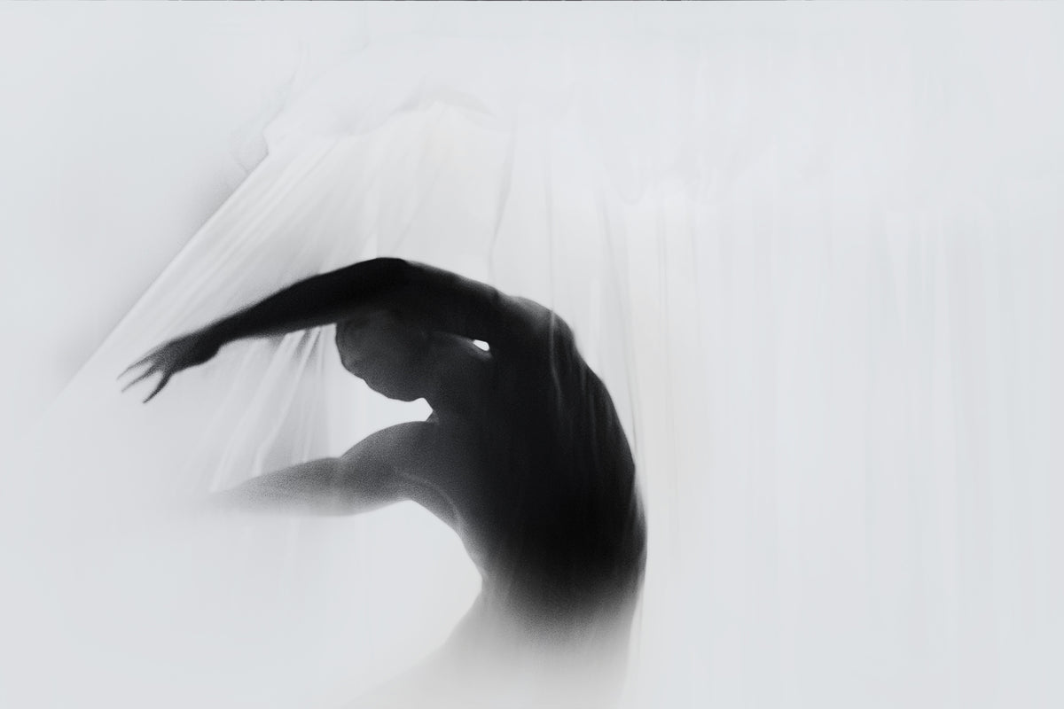 canvas-print-the-dance-of-silence