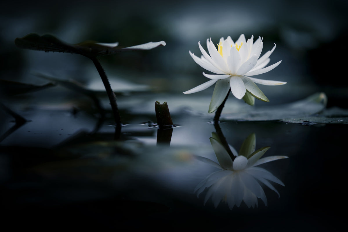 framedcanvas-print-reflection-xkq