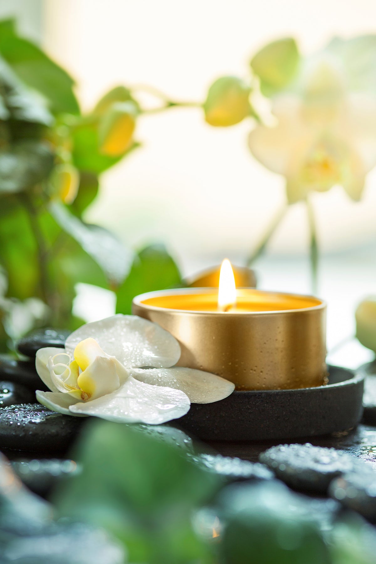 poster-print-zen-orchid-and-candle