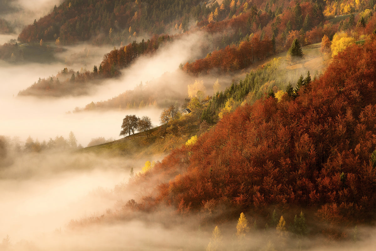 poster-print-novembers-fog-x