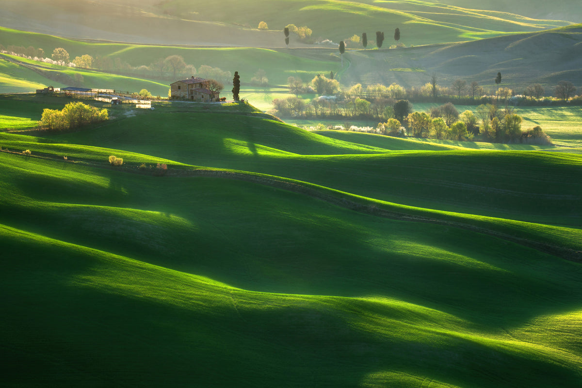 poster-print-green-waves-x