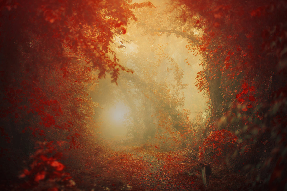 canvas-print-personal-journey
