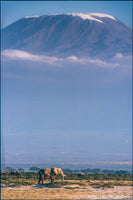framedcanvas-print-kilimanjaro-and-the-quiet-sentinels