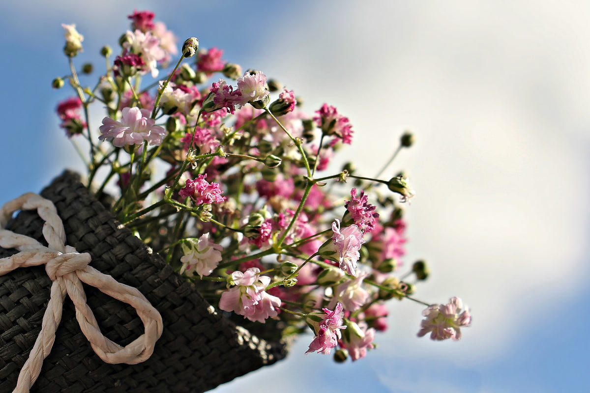 3-piece-canvas-print-the-gypsophila