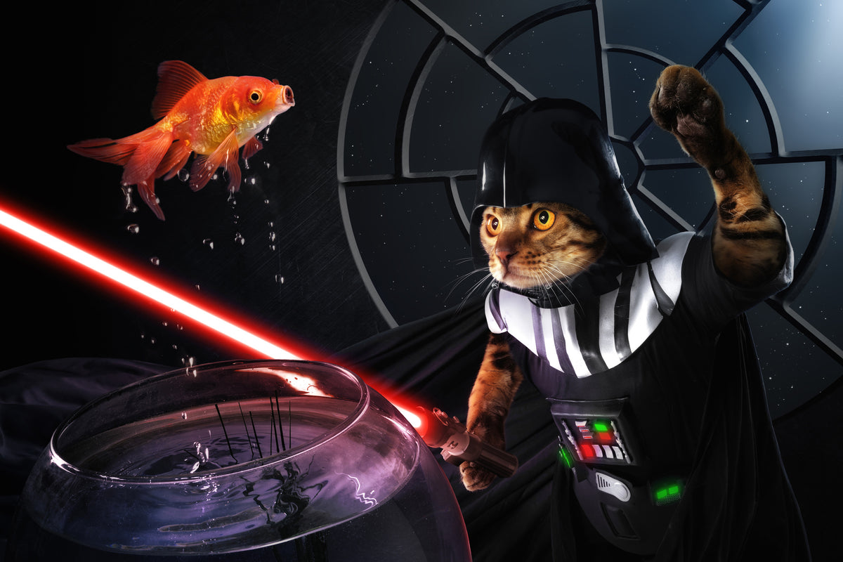 framedcanvas-print-darth-sushi