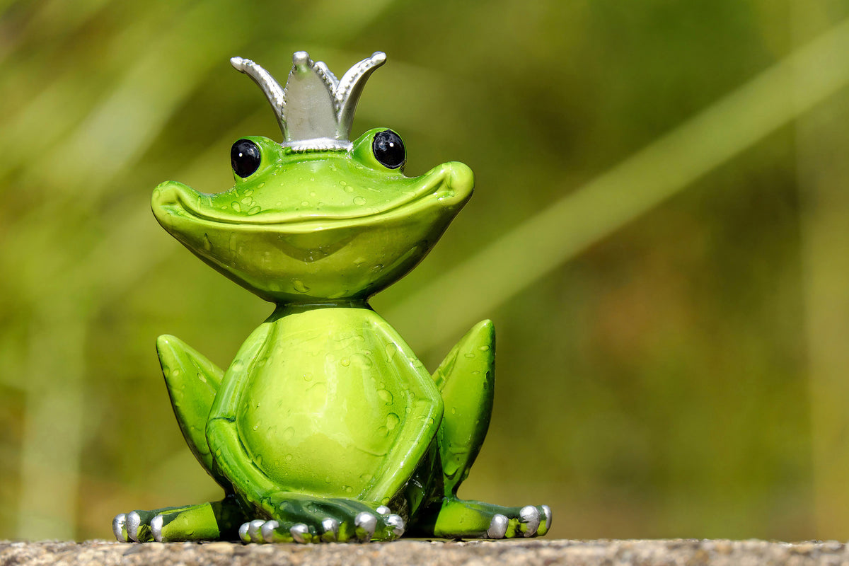 acrylic-print-mr-frog-king