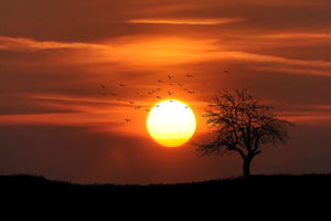 3-piece-aluminium-print-the-sunset-on-the-horizon