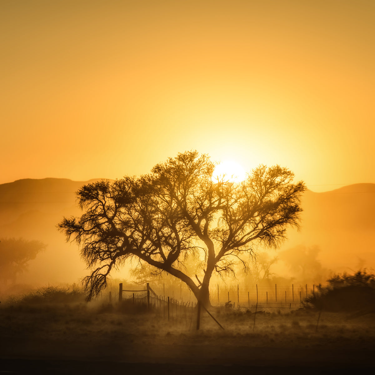 4-piece-acrylic-print-golden-sunrise