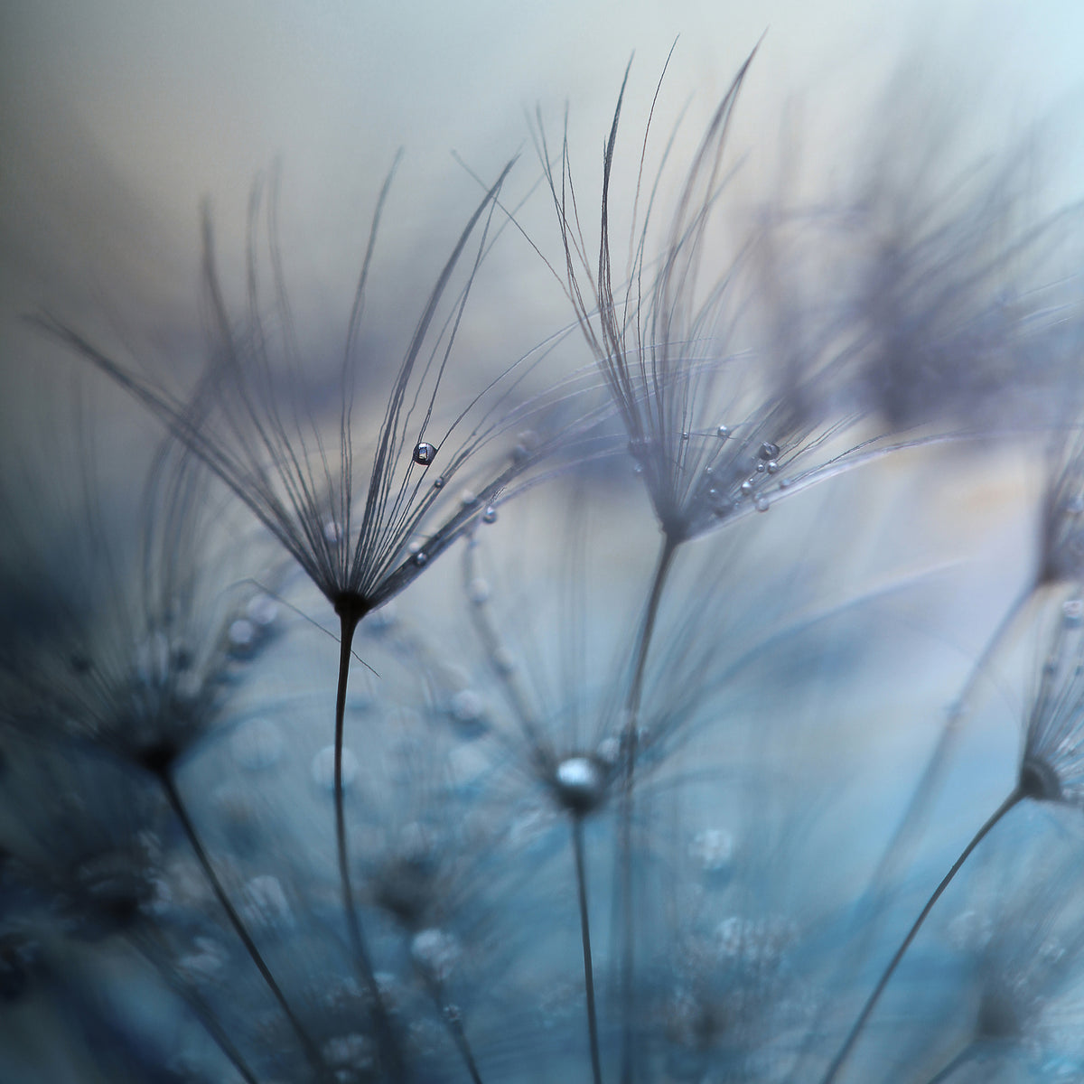 9-piece-aluminium-print-teardrops