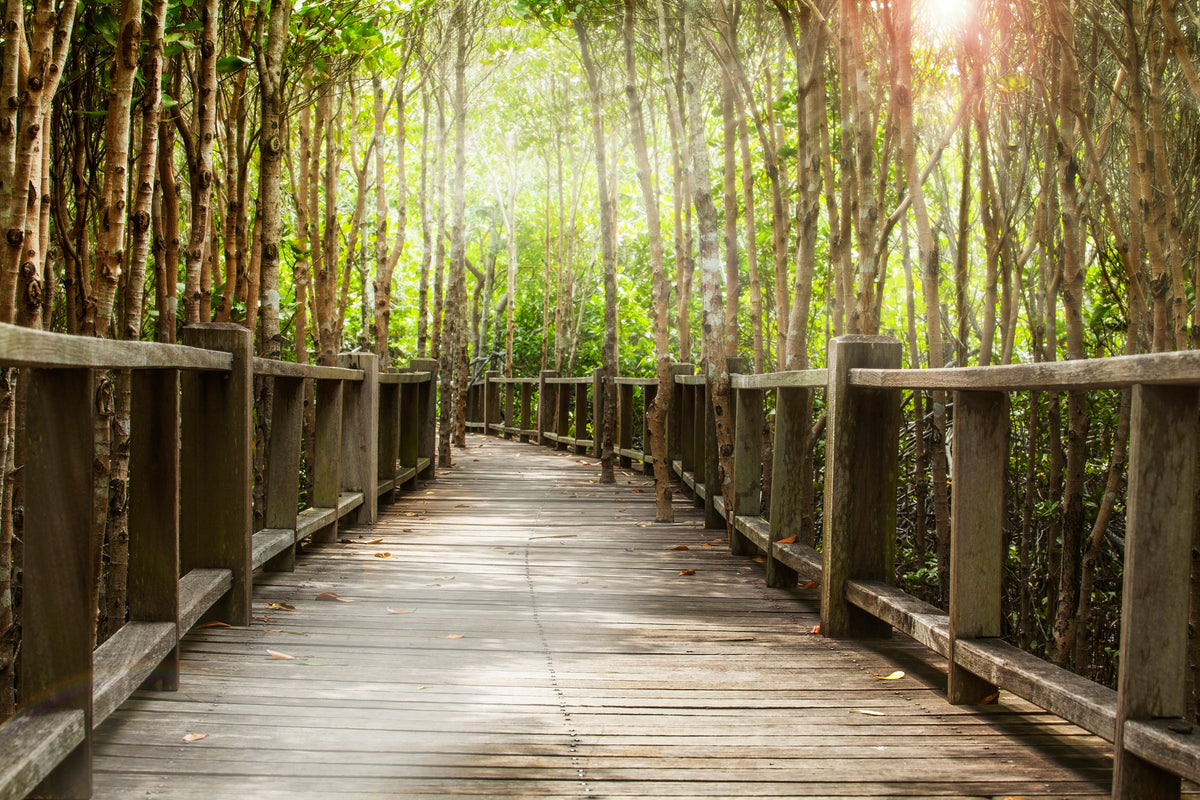 3-piece-canvas-print-wooden-bridge