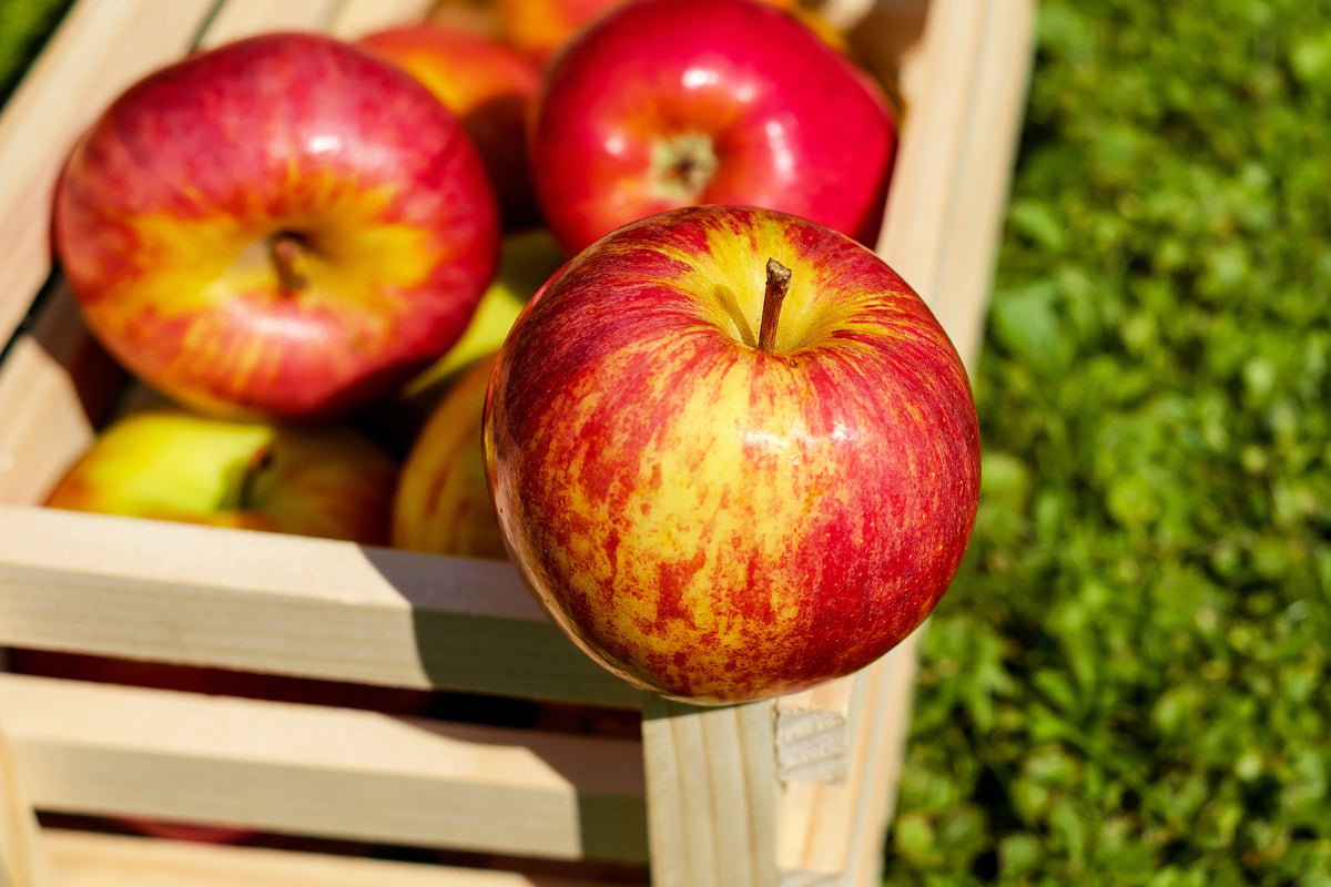 framedposter-print-box-of-apples