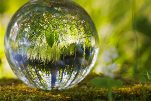 framedcanvas-print-nature-ball