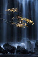 aluminium-print-yellow-autumn