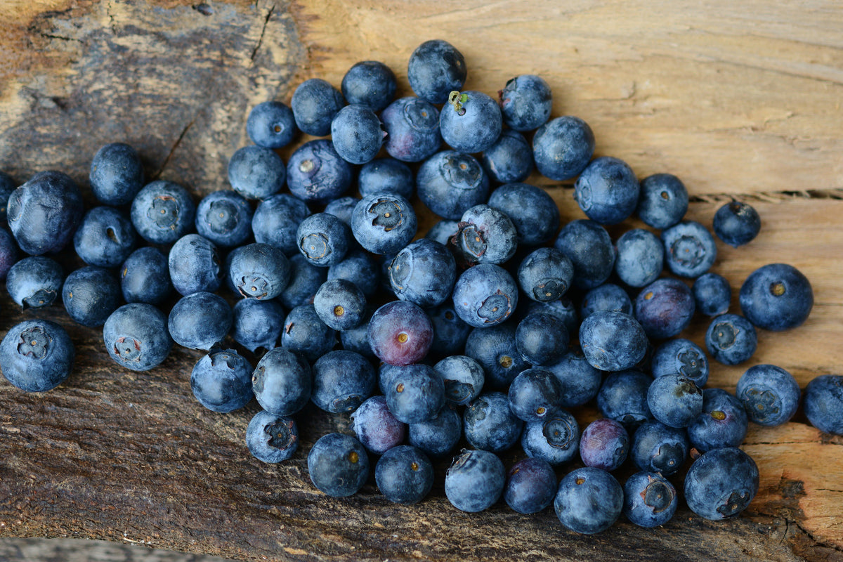 acrylic-print-fresh-blueberries