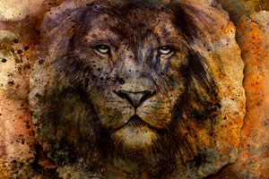 canvas-print-portrait-of-a-lion-ii