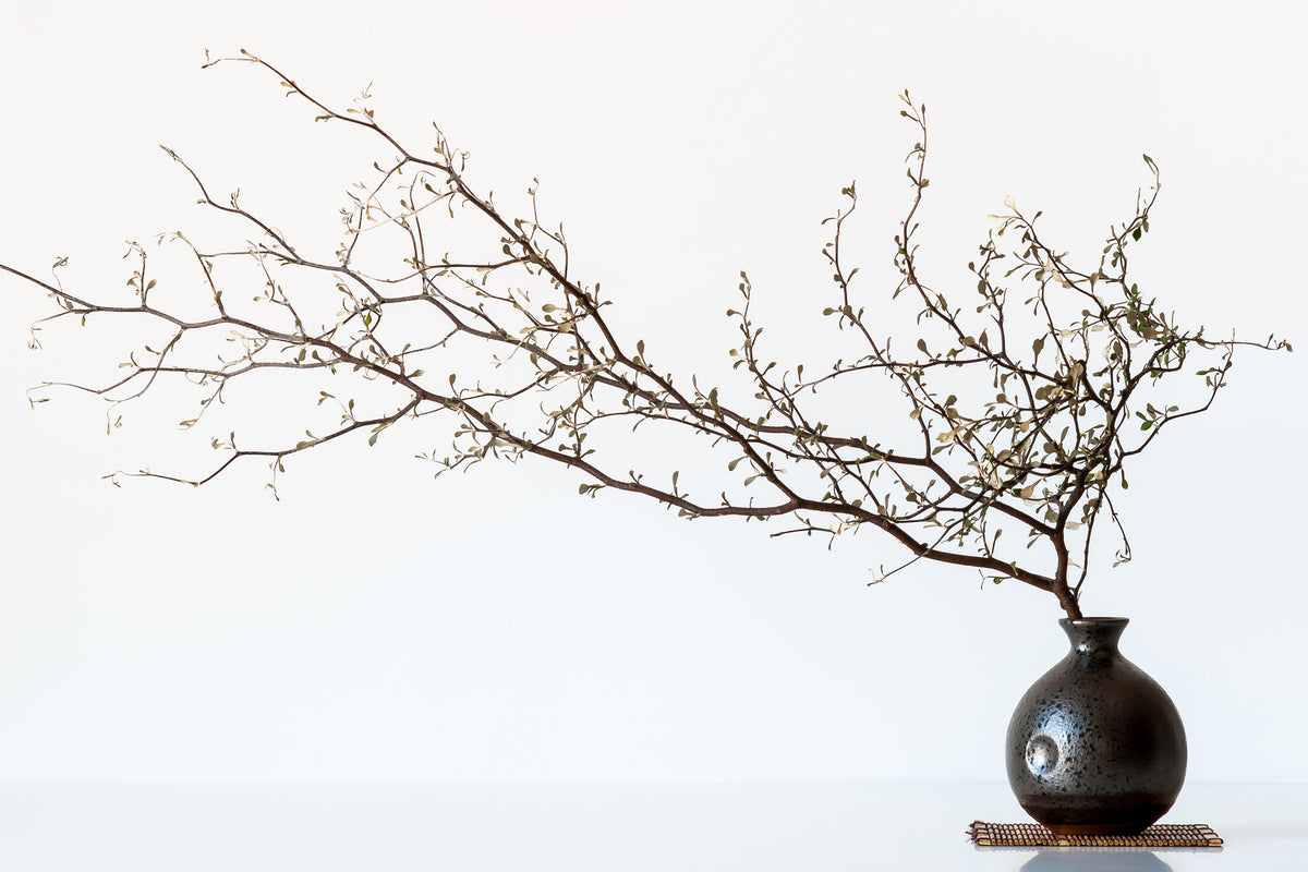 acrylic-print-vase-and-branch-x