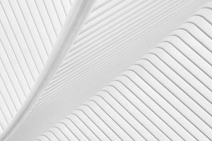 modern-3-piece-acrylic-print-canopy