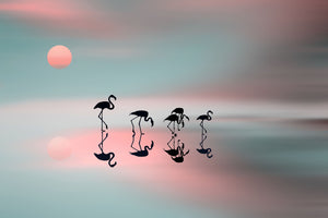 framedposter-print-family-flamingos-x