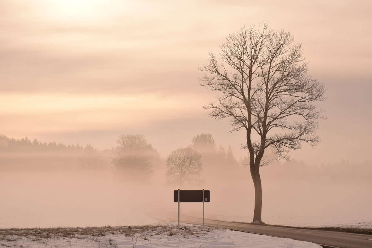 framedposter-print-mystic-mood-in-nature