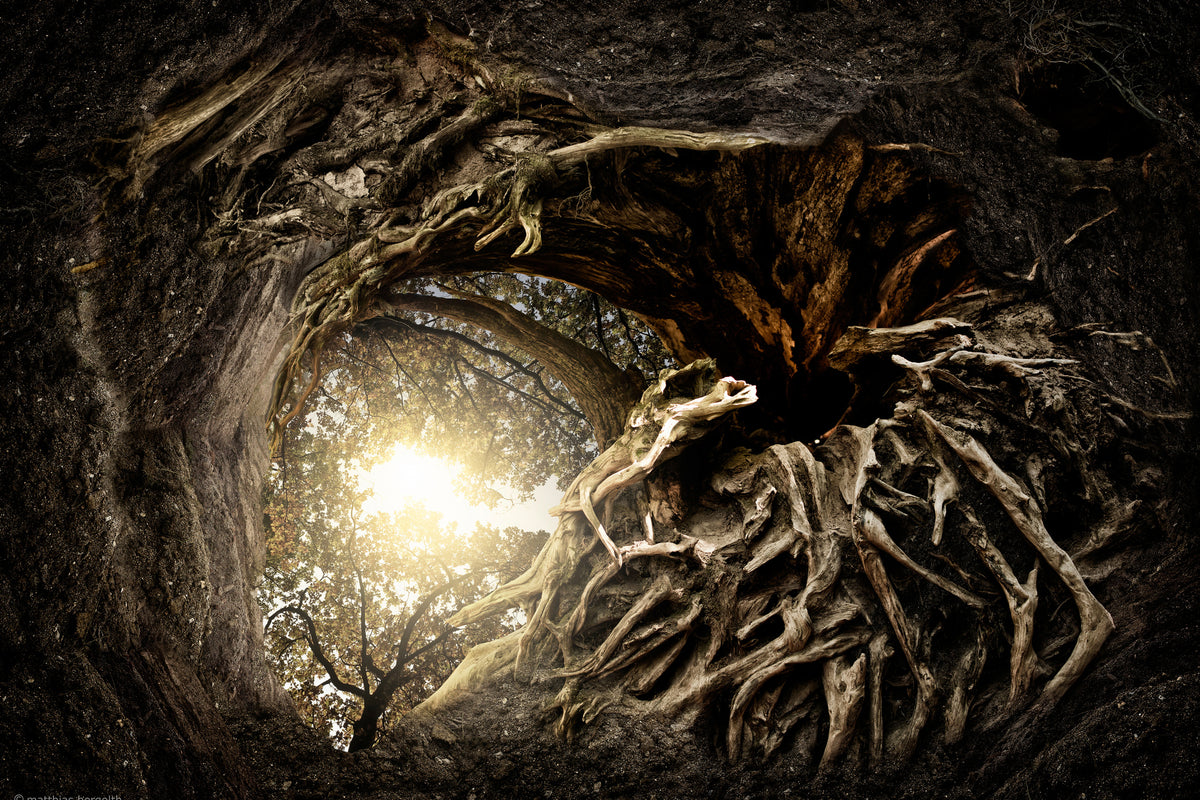 3-piece-canvas-print-under-the-trees