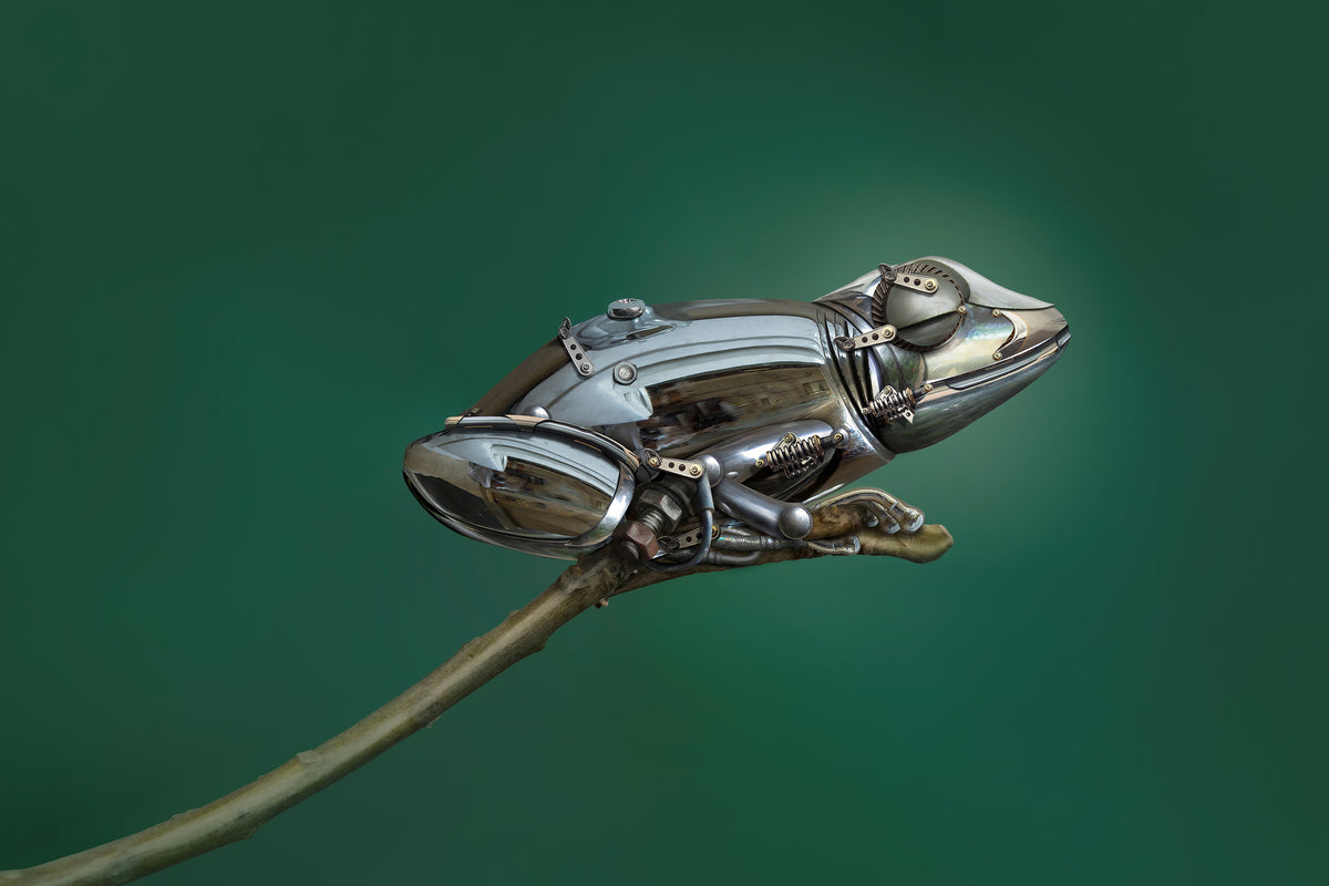 3-piece-canvas-print-frog
