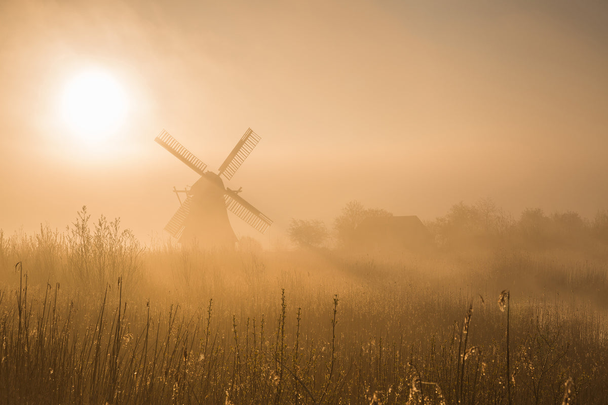 aluminium-print-golden-dawn-x