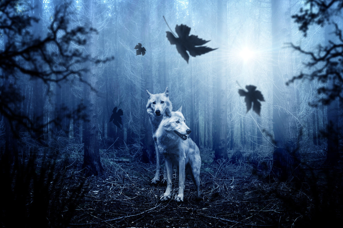 modern-3-piece-aluminium-print-wolf39s-couple