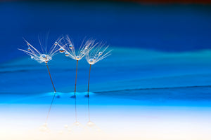 poster-print-blue-landscape-x