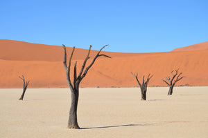 canvas-print-sossusvlei-namibia
