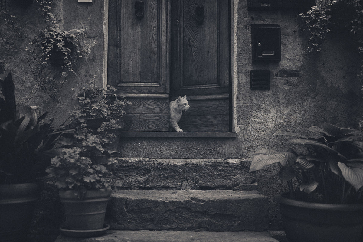 canvas-print-awaiting-guests-x