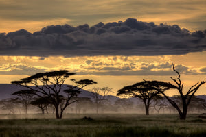 framedposter-print-good-evening-tanazania