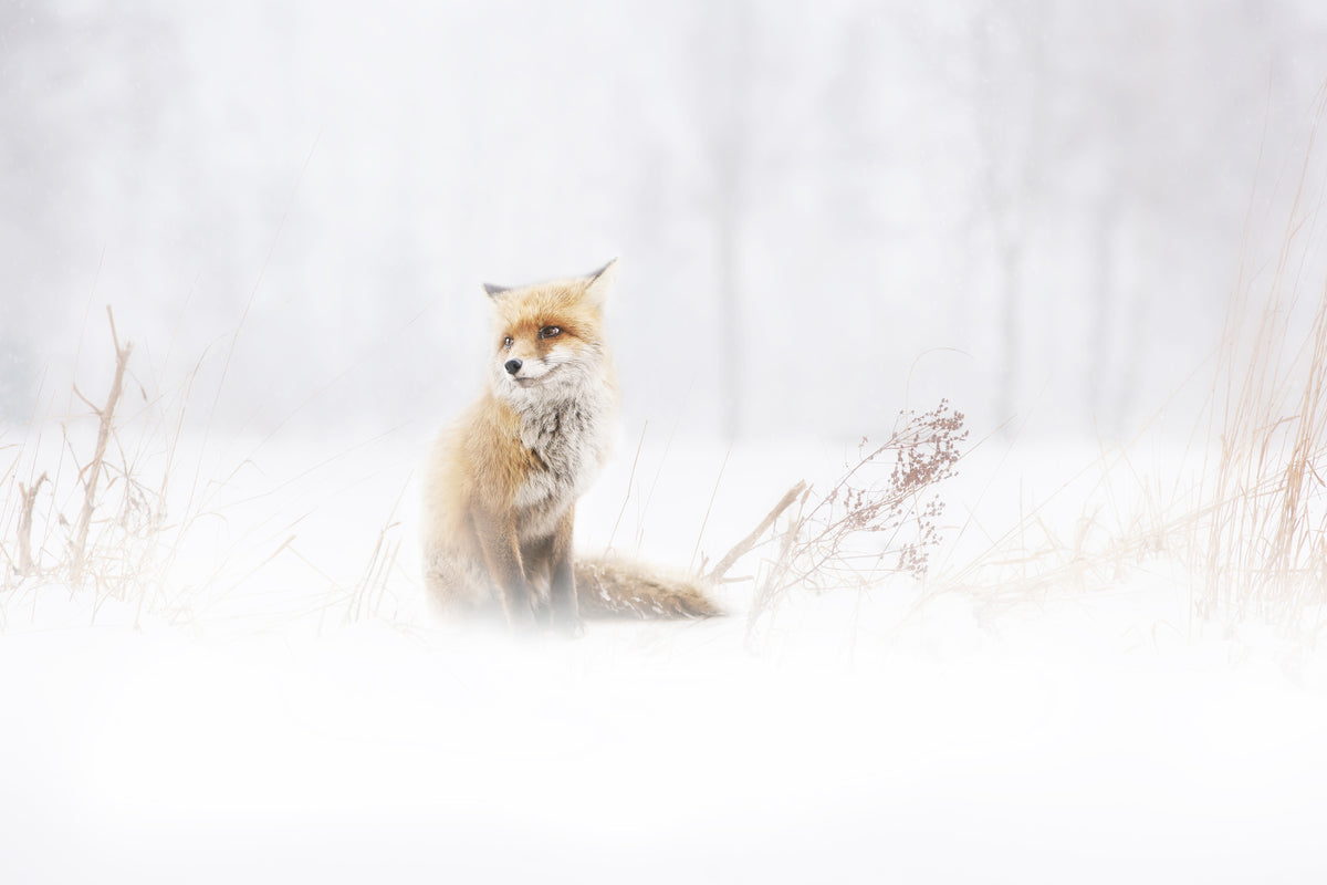 aluminium-print-waiting-xys
