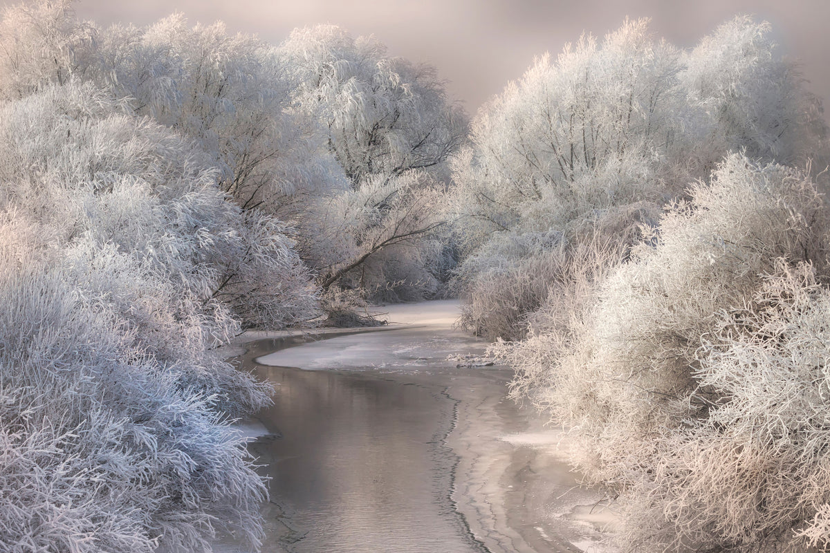 framedcanvas-print-winter-song-x