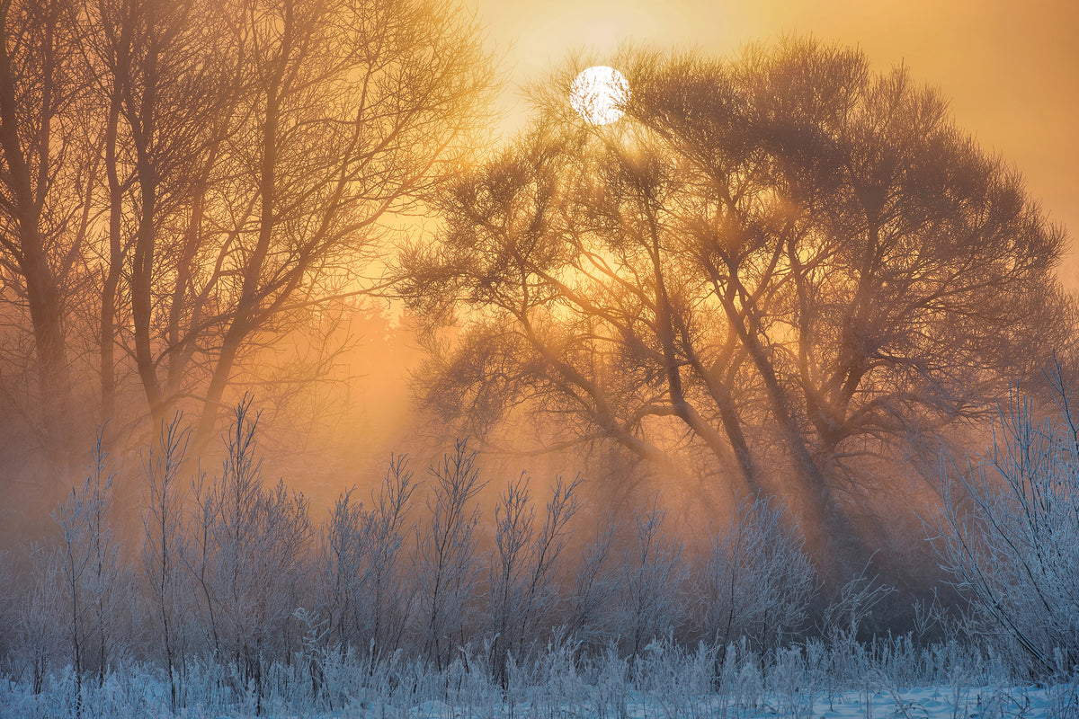 framedposter-print-warm-and-cold-x