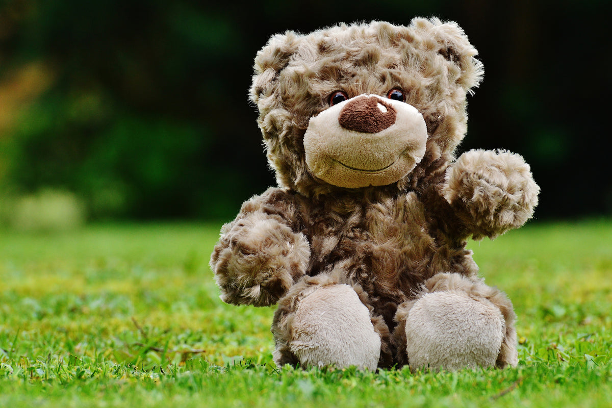 framedposter-print-happy-teddy-bear