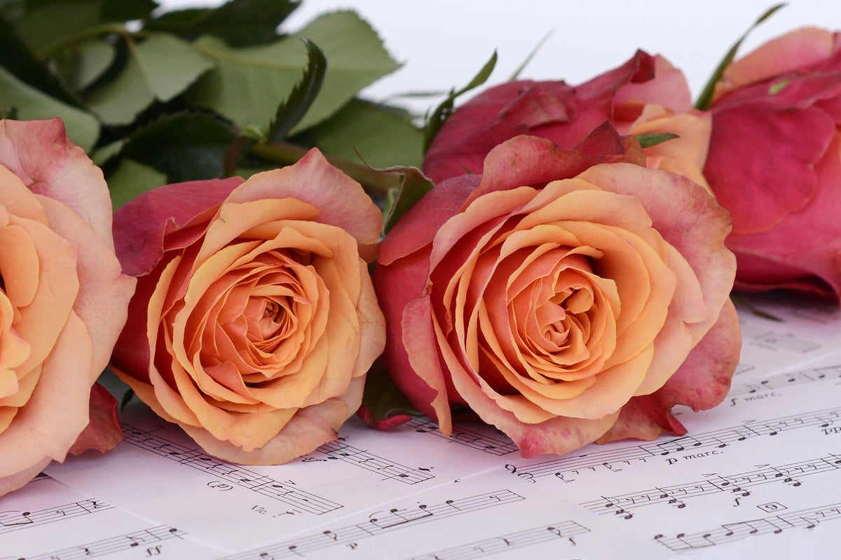 canvas-print-notes-of-love