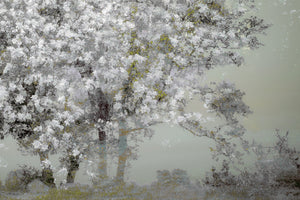 aluminium-print-spring-xep