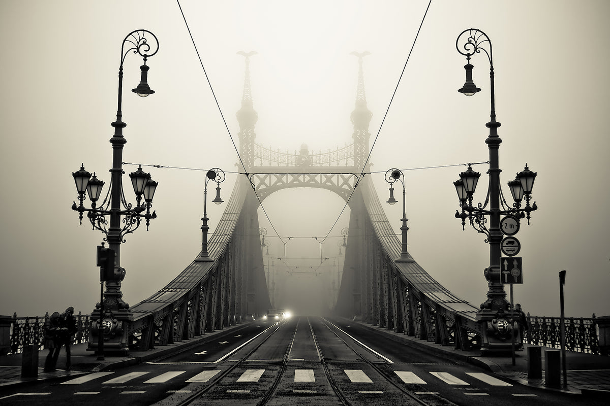 framedposter-print-the-bridge-x