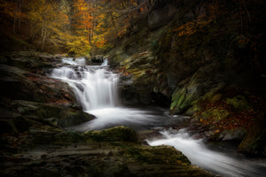 canvas-print-irati-jungle-x