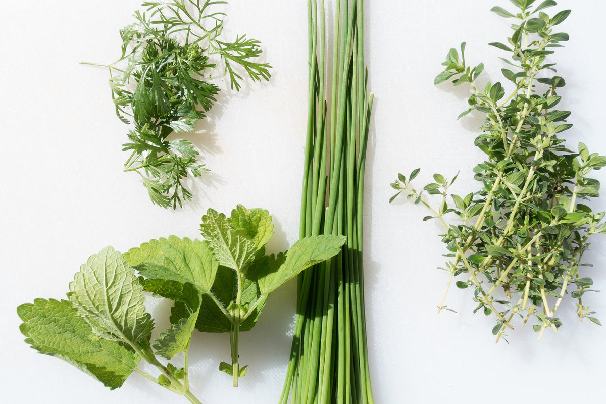 modern-3-piece-canvas-print-fresh-herbs