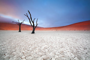 canvas-print-mist-over-deadvlei-x