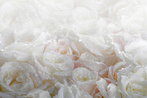 canvas-print-white-roses-in-the-morning-dew