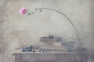 canvas-print-mild-morning-of-october-x