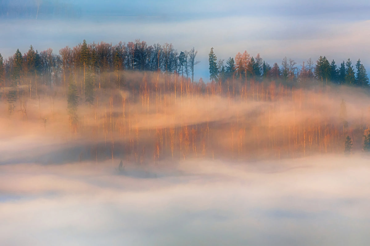 poster-print-in-the-morning-mists