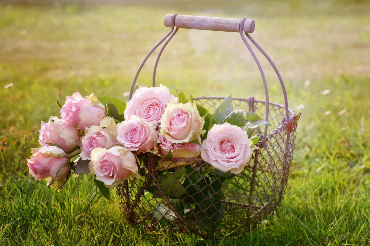 3-piece-aluminium-print-a-basket-full-of-roses