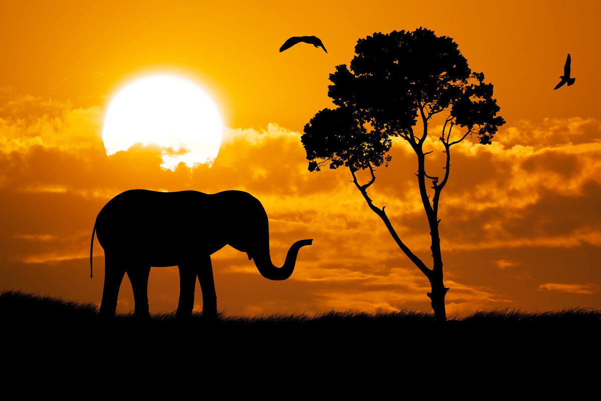 modern-3-piece-aluminium-print-dreamy-africa